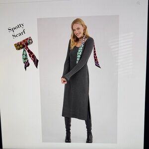 CAbi Any Day Dress - Classic Dark Grey Long Sleeve Dress